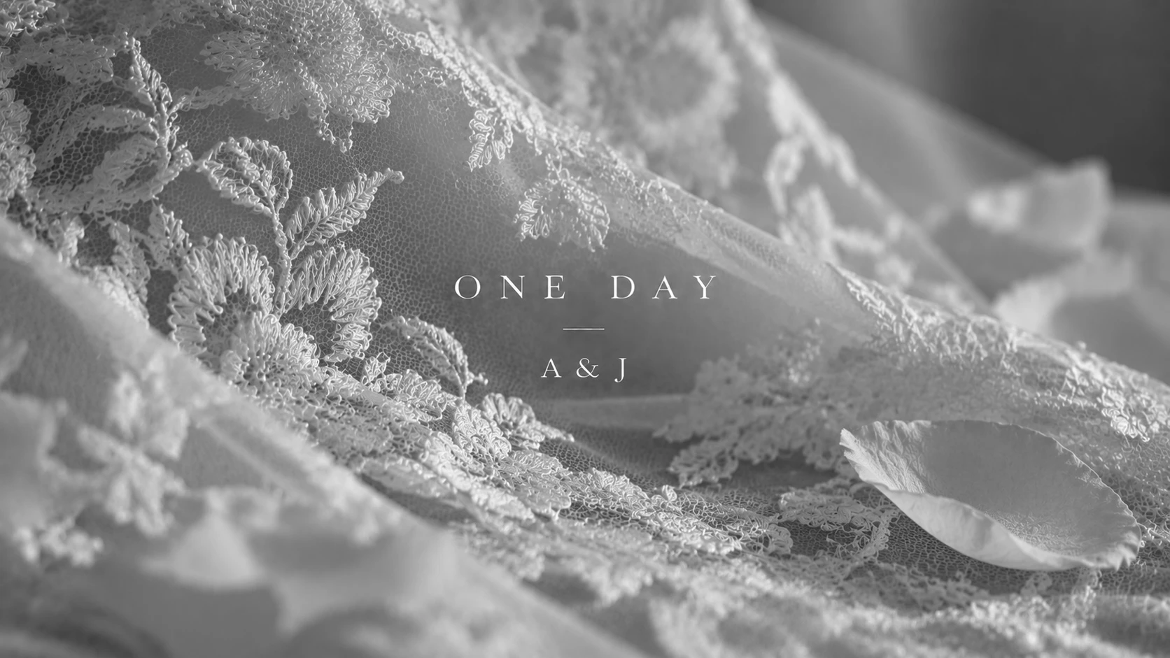 OneDay 