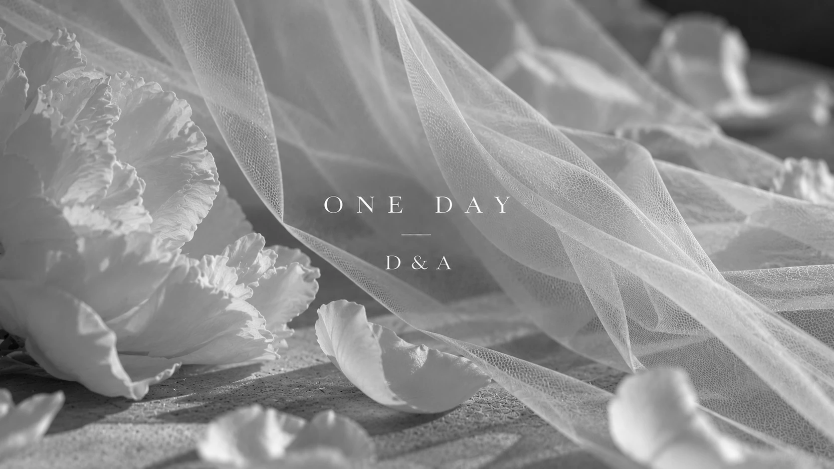 OneDay 