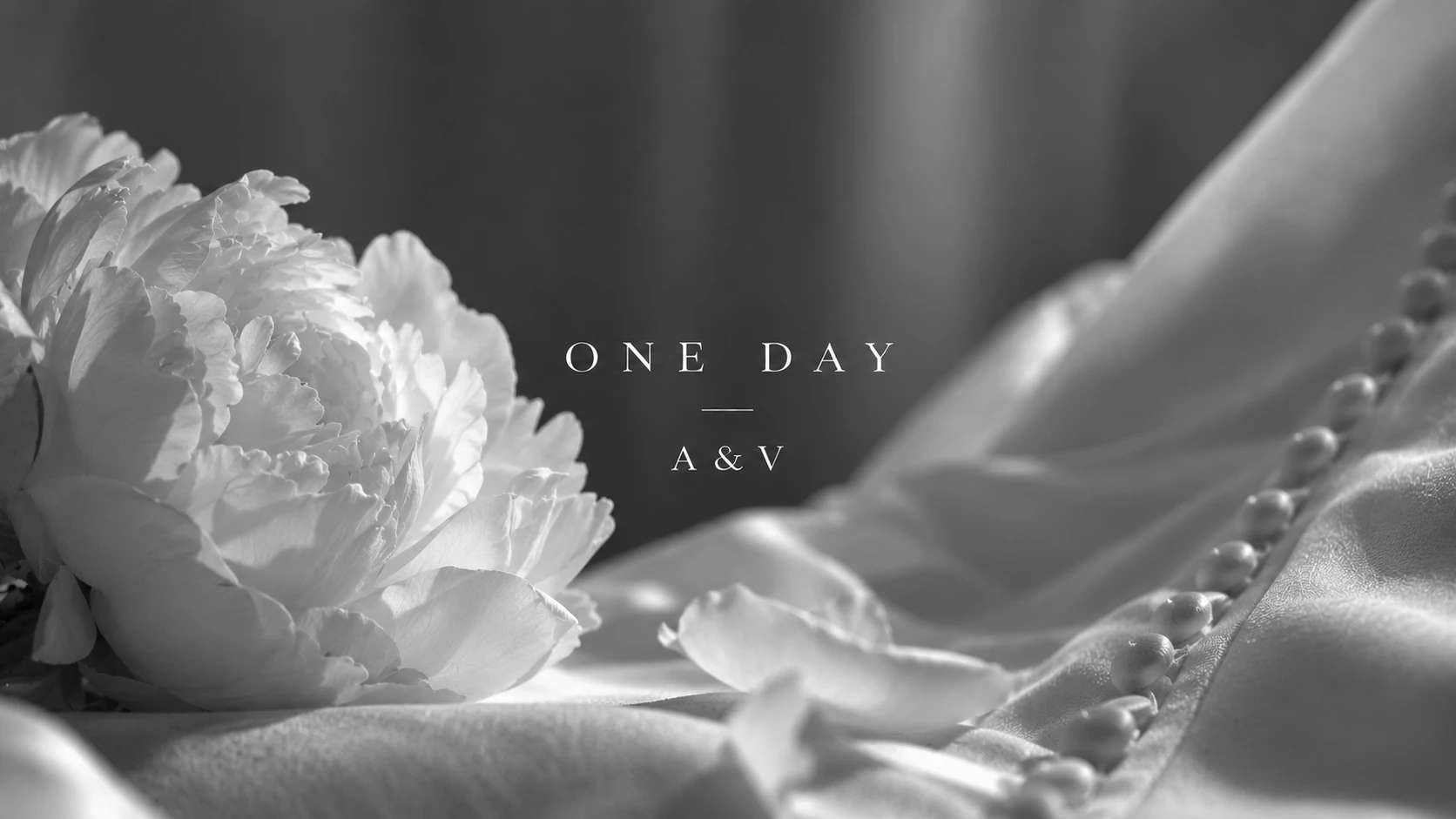 OneDay 
