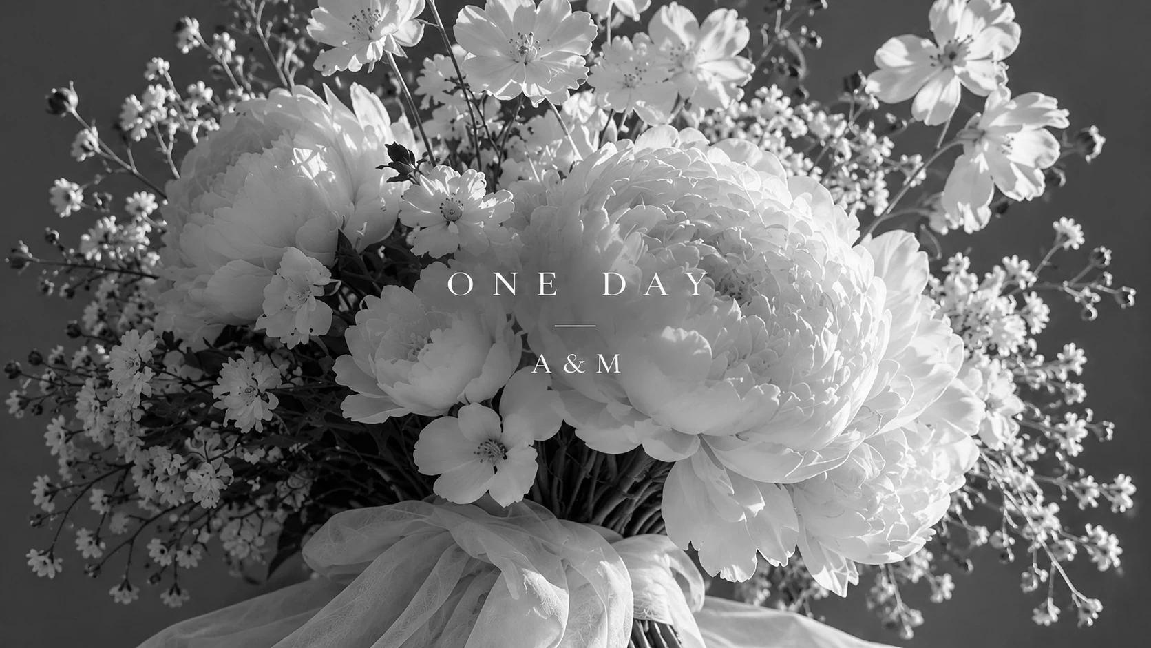 OneDay 
