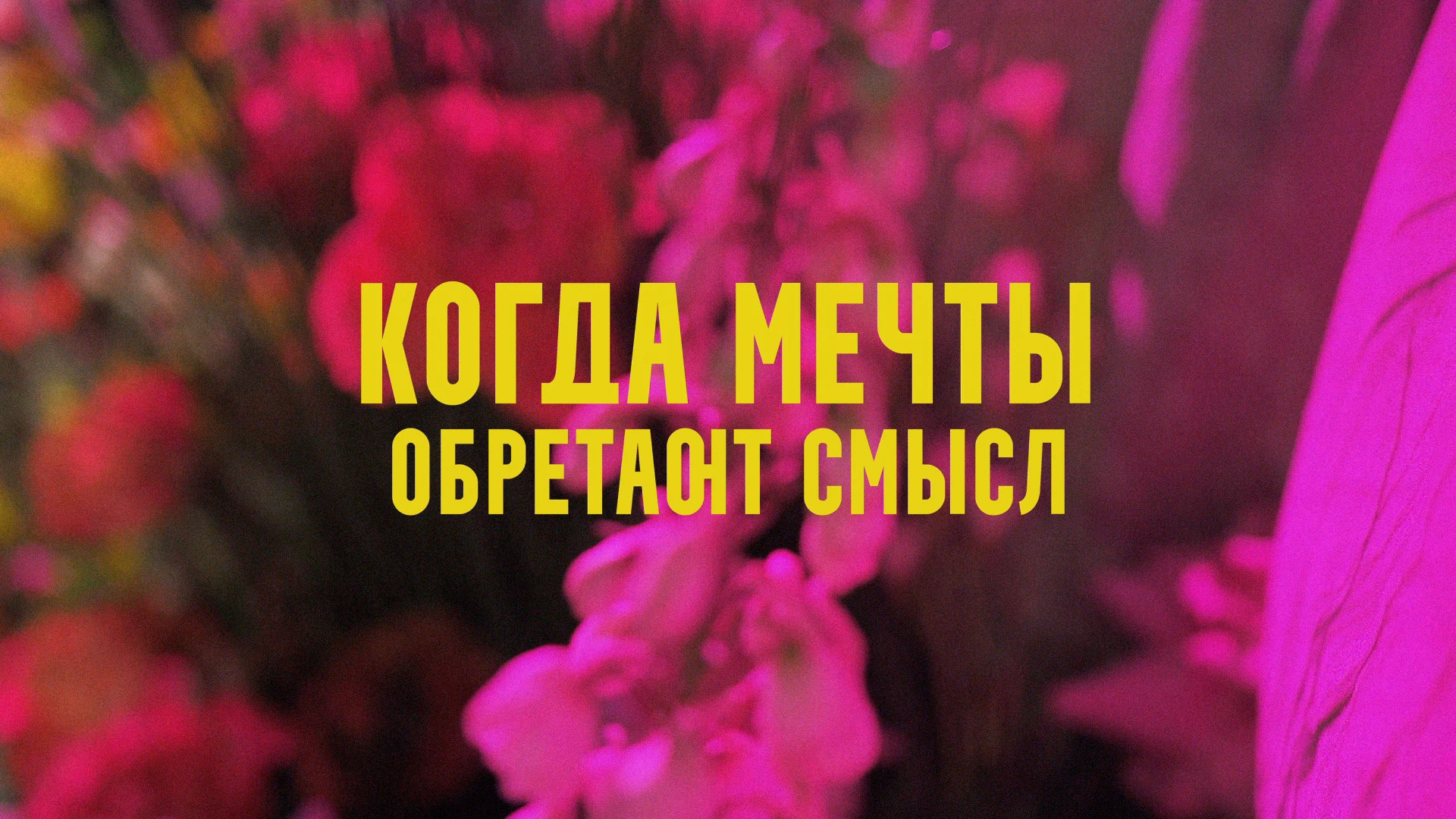Игорь Белозёров