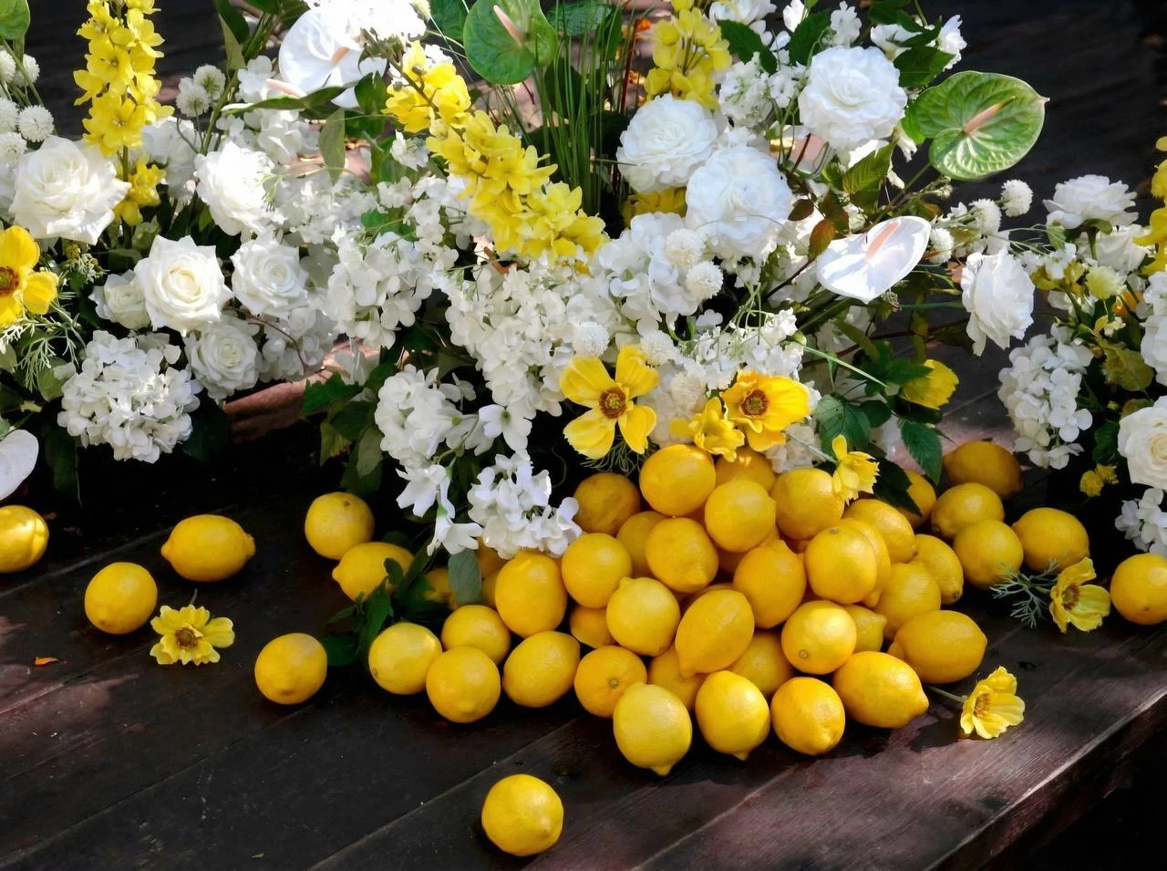 Noema decor